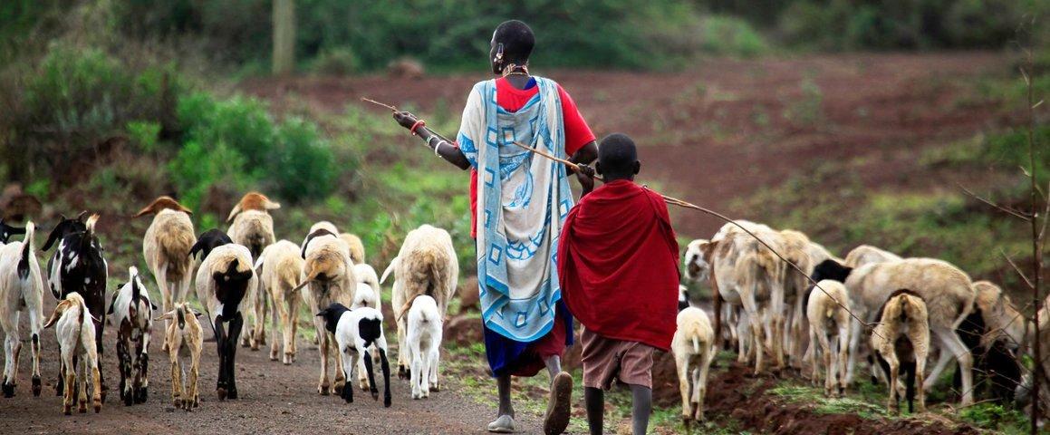 Famille kenyane élevant des chèvres | AdobeStock, T. Morozova